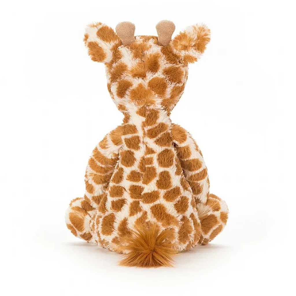 Back of bashful giraffe medium sitting up