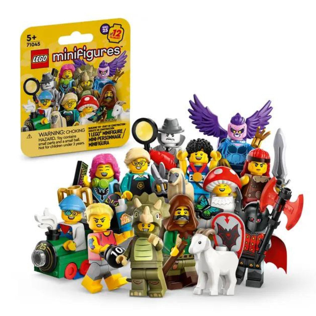 Lego Minifigure Box & Possible Contents