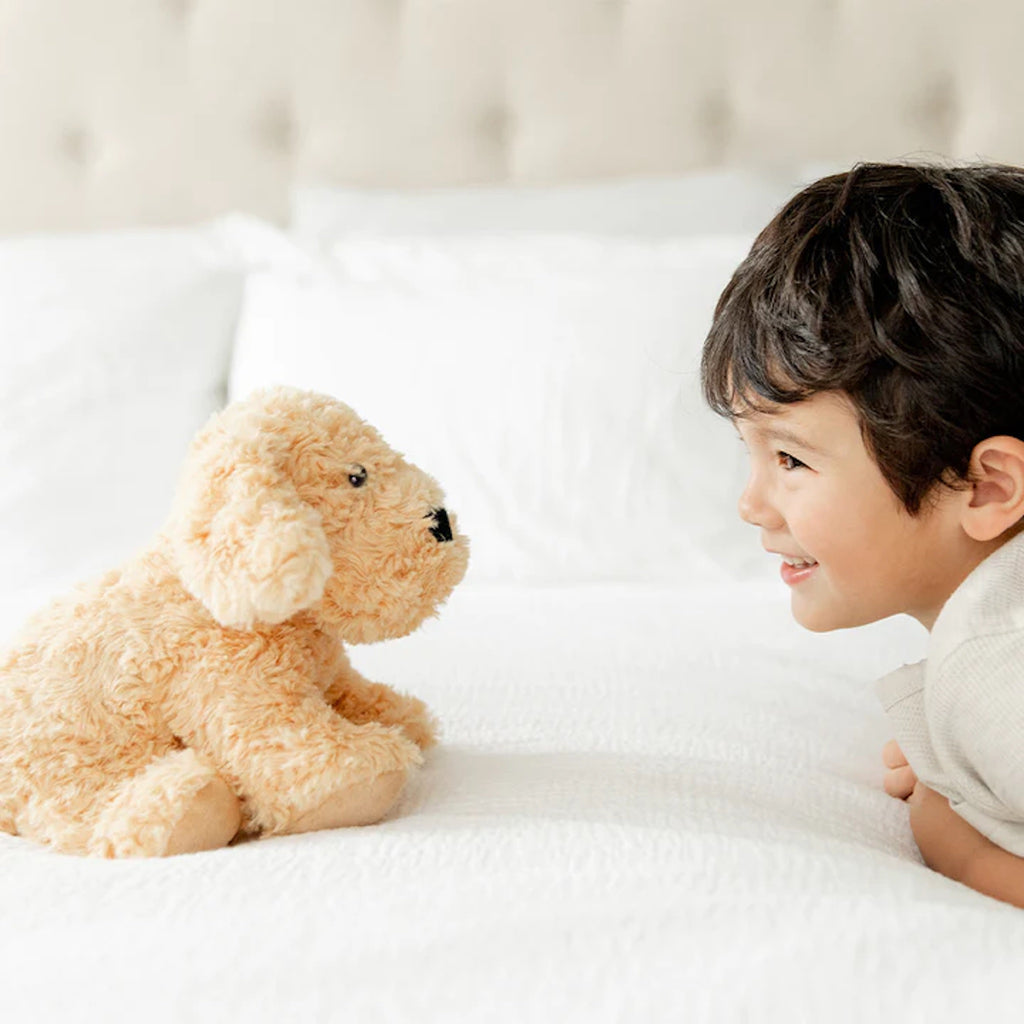 Child looking at Golden Dog Warmies