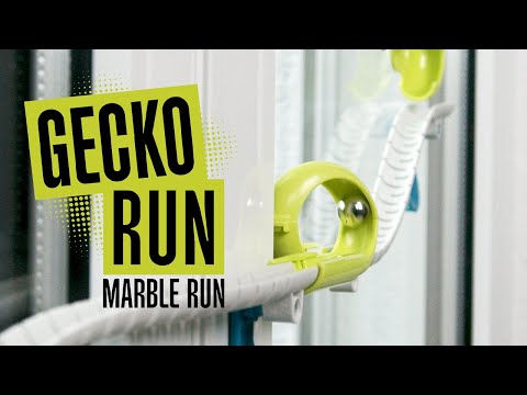 Gecko Run Video
