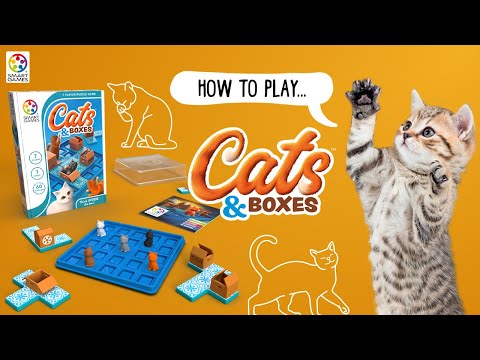 Cats & Boxes Video