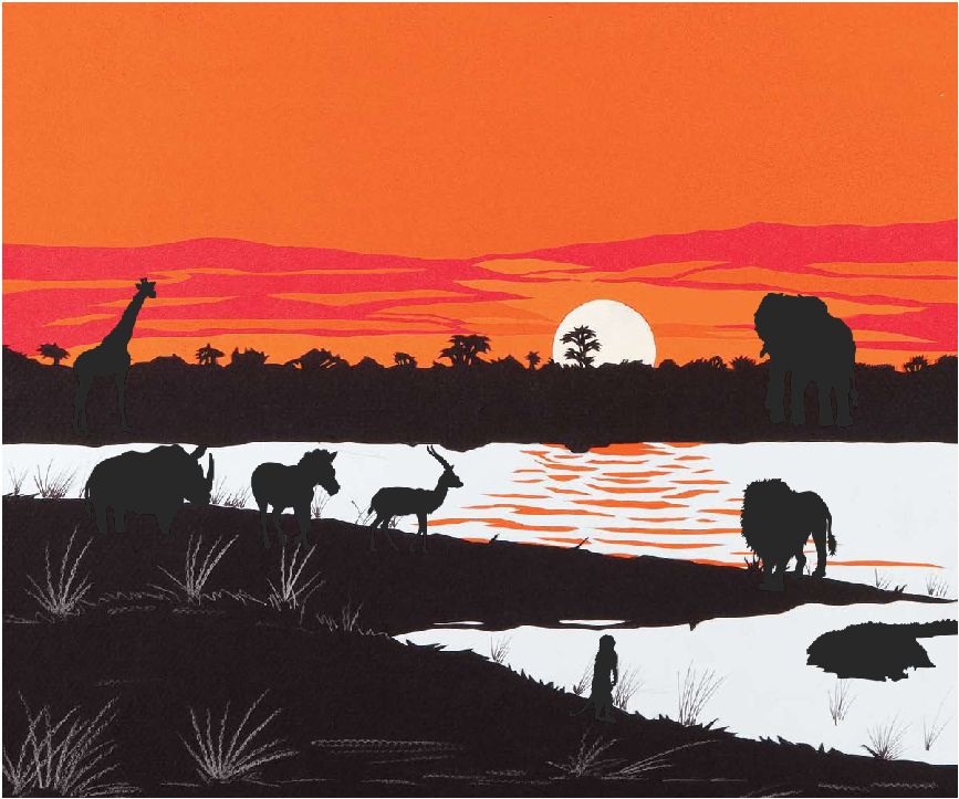 Sunset Over The Safari 
