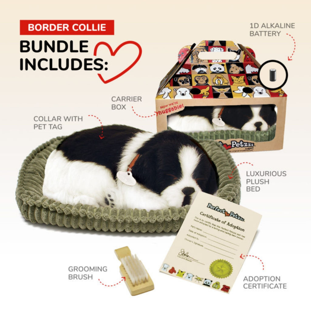 Perfect Pet Border Collie Contents 