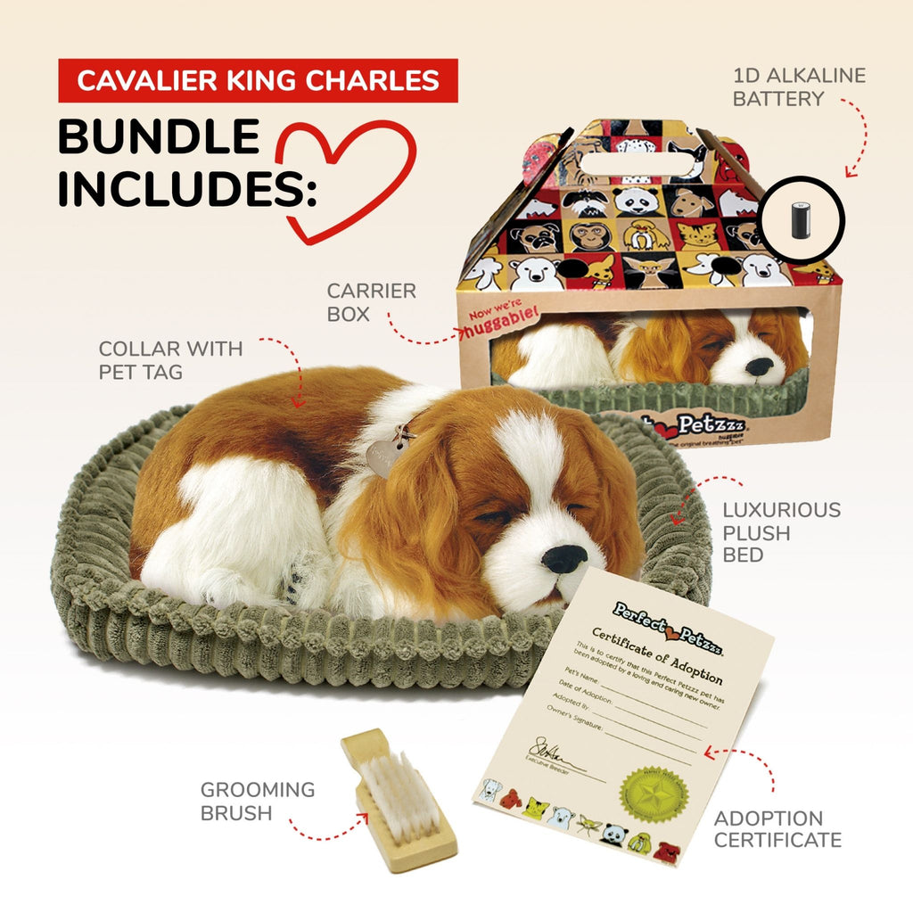 Perfect Pet Cavalier King Charles Contents