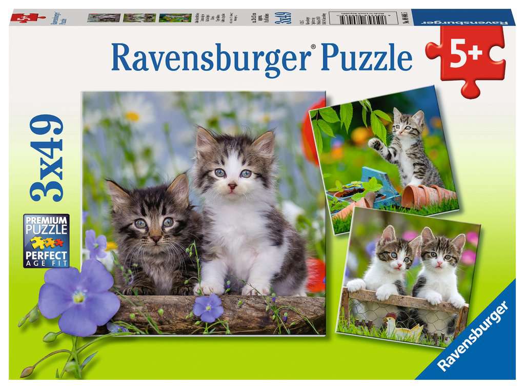 Cuddly Kittens Puzzle