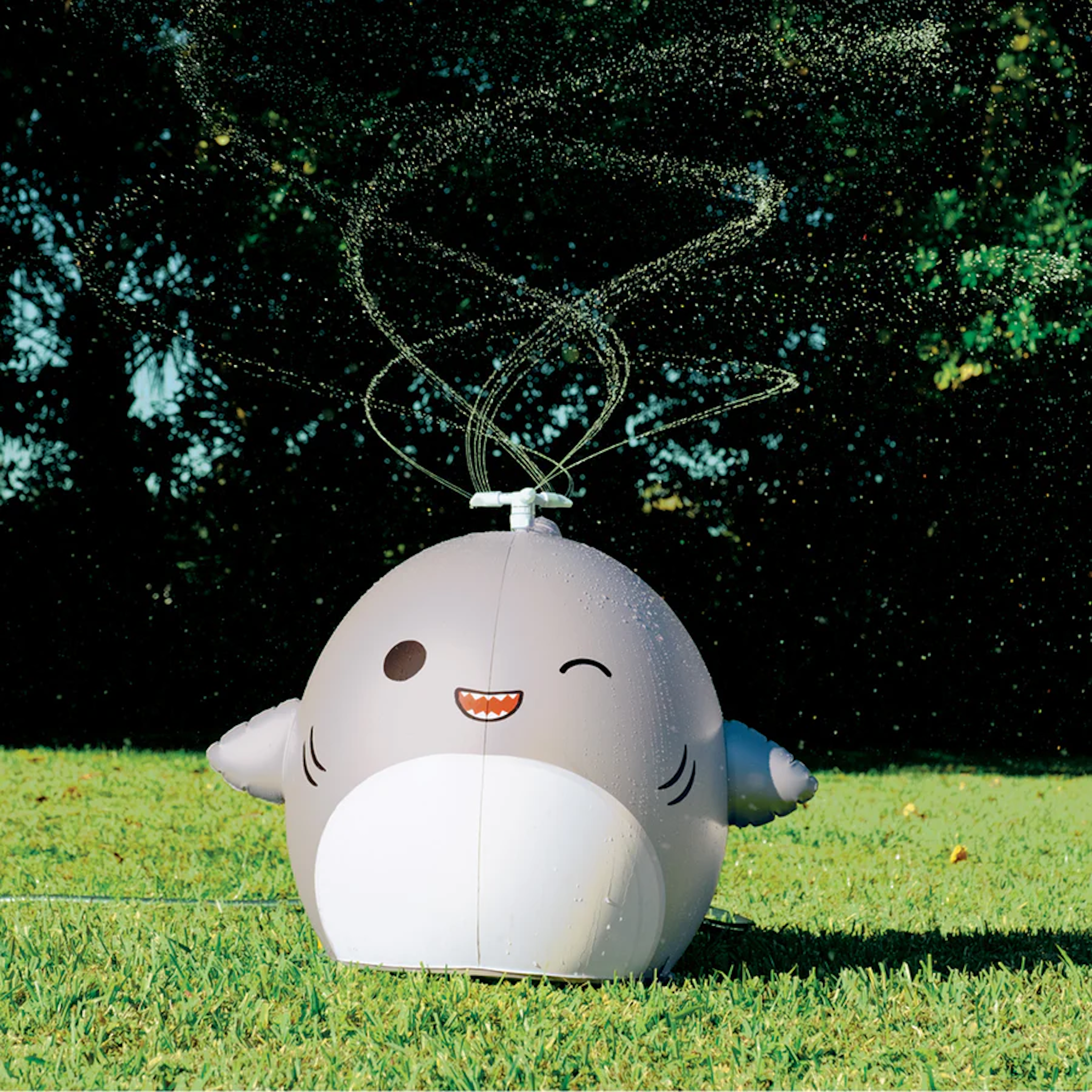 Squishmallow Gordon Shark Sprinker Wonder Works Toys