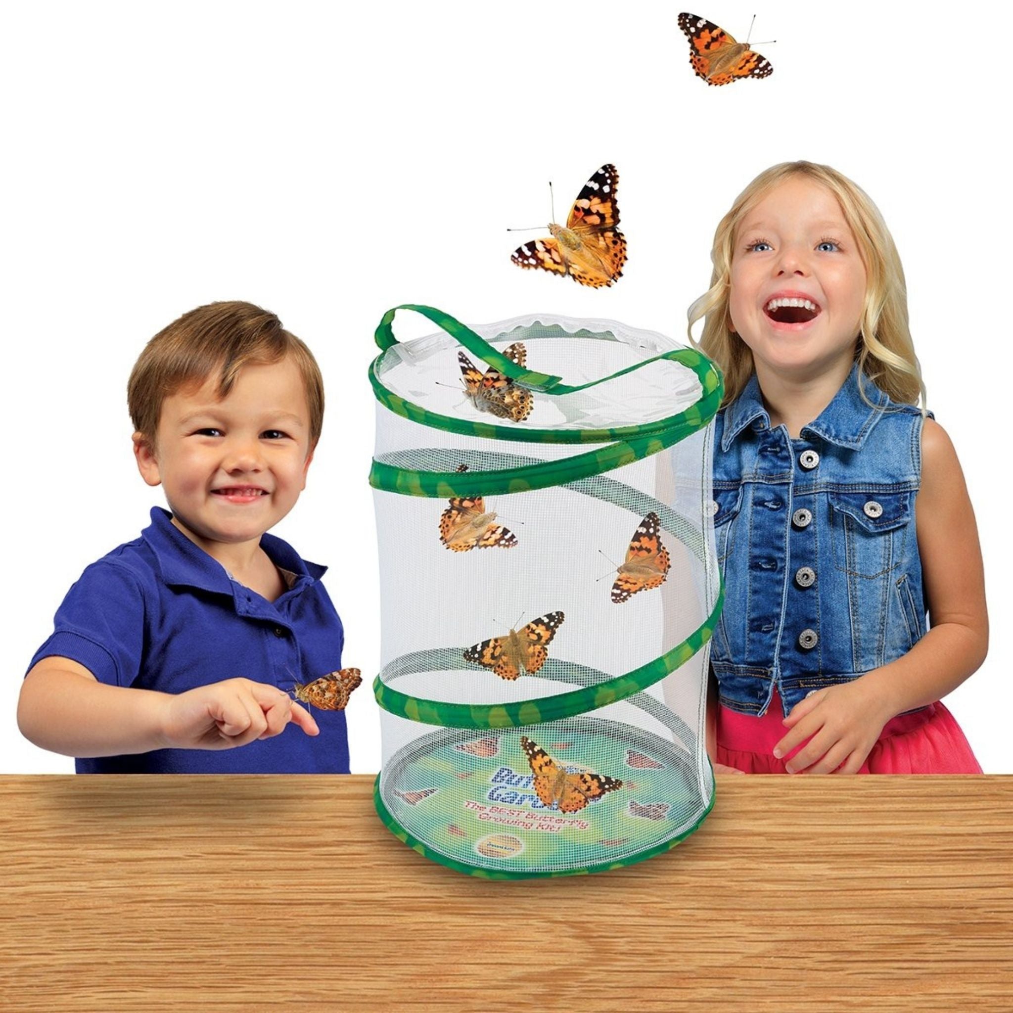 Butterfly Garden  Wonder Works Toys