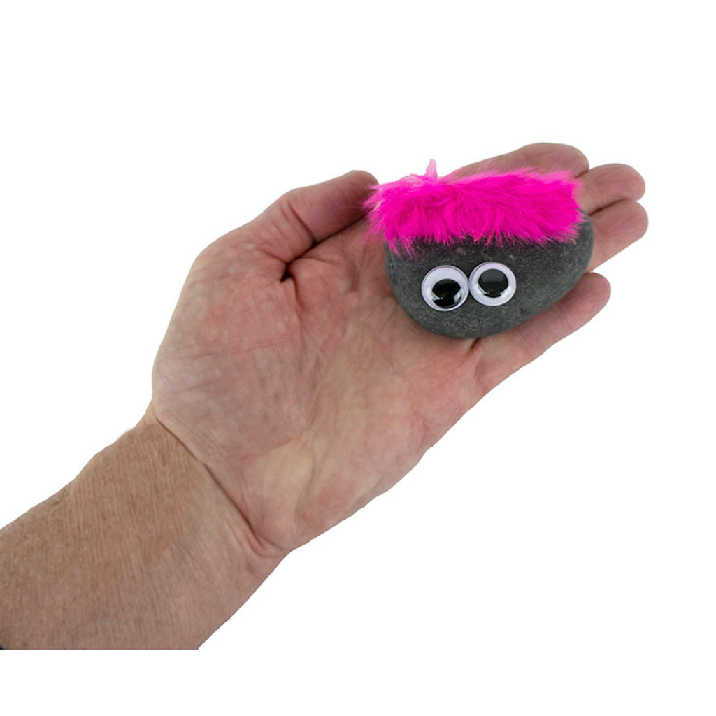 Pet Rock With Pink Hair