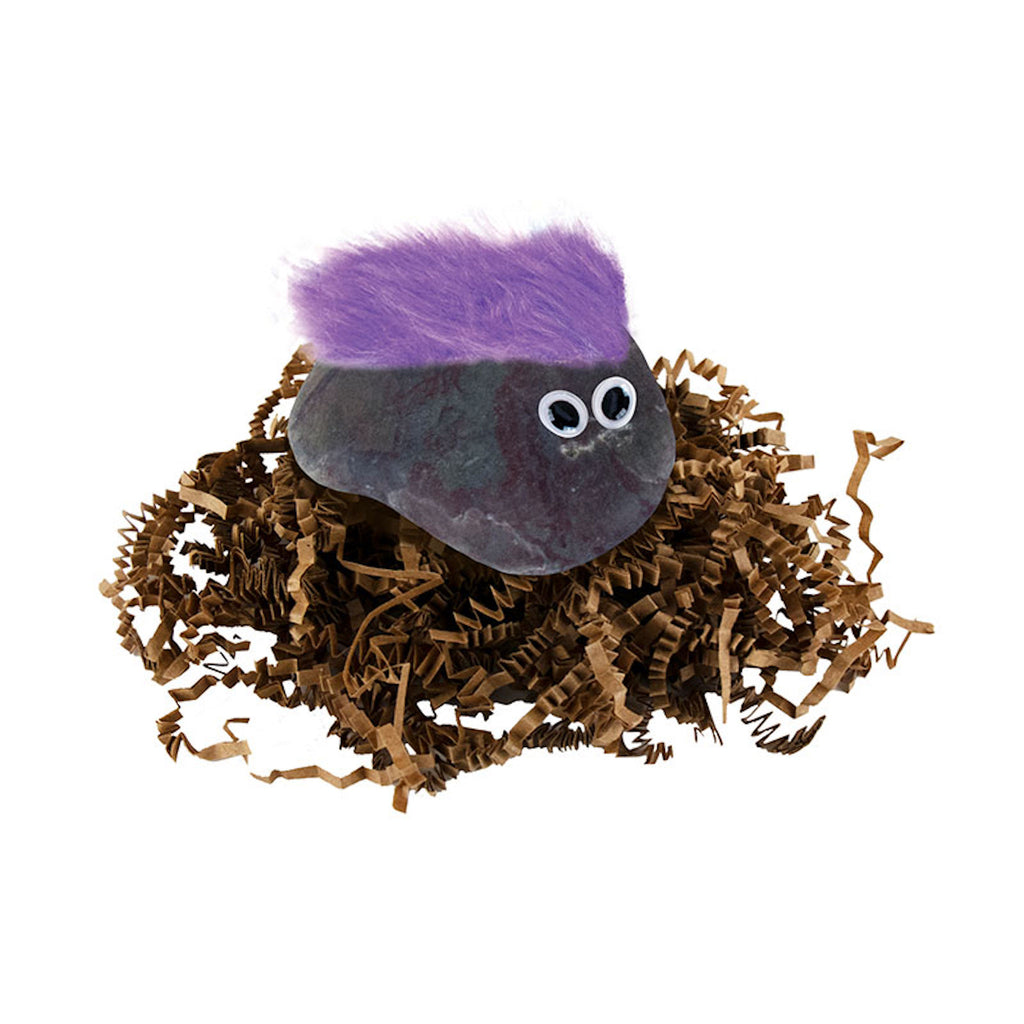 Pet Rock With Purple Hair